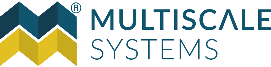 Multiscale Systems Logo